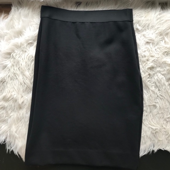 Everlane Dresses & Skirts - Everlane The Stretch Ponet Tube Skirt